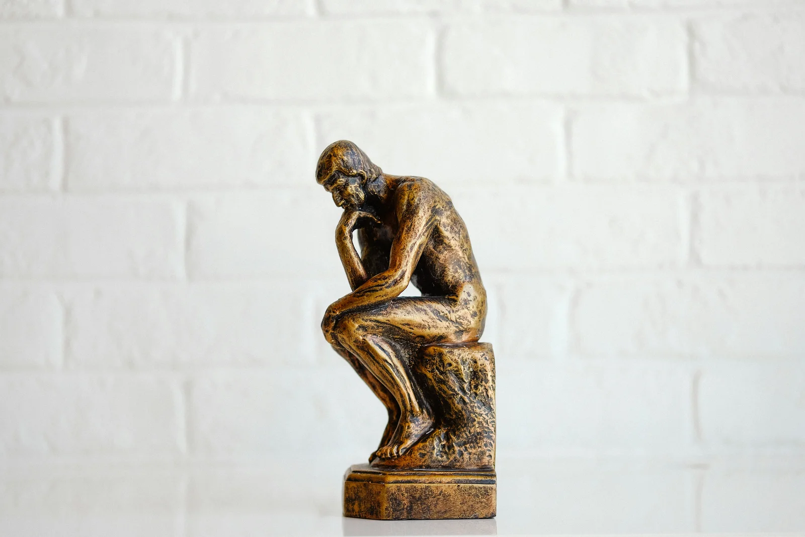 statut réflection stoicisme